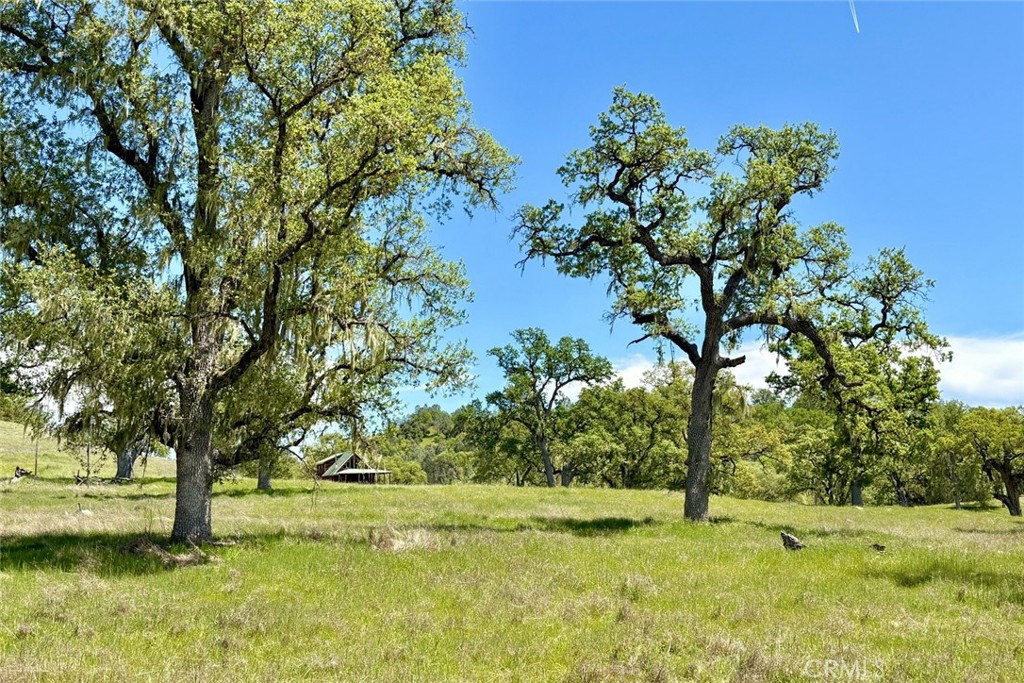 Property photo 37