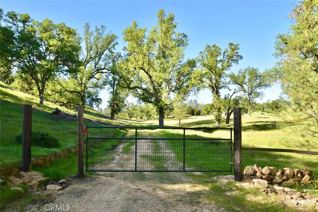 Property photo 39