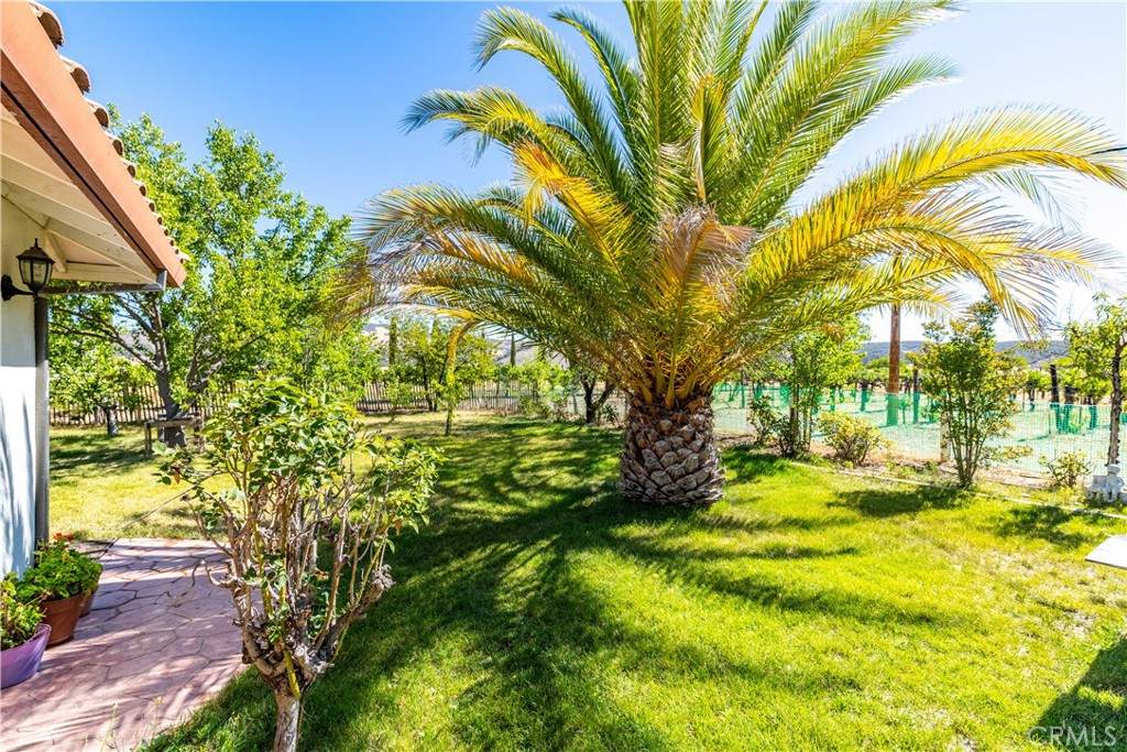 Property photo 44