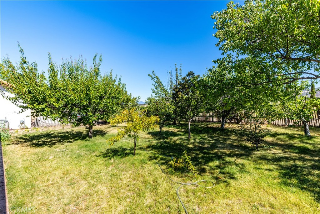 Property photo 45