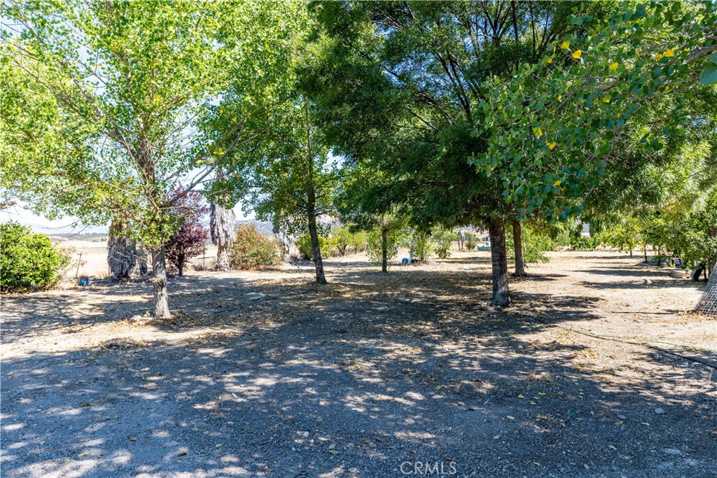 Property photo 49