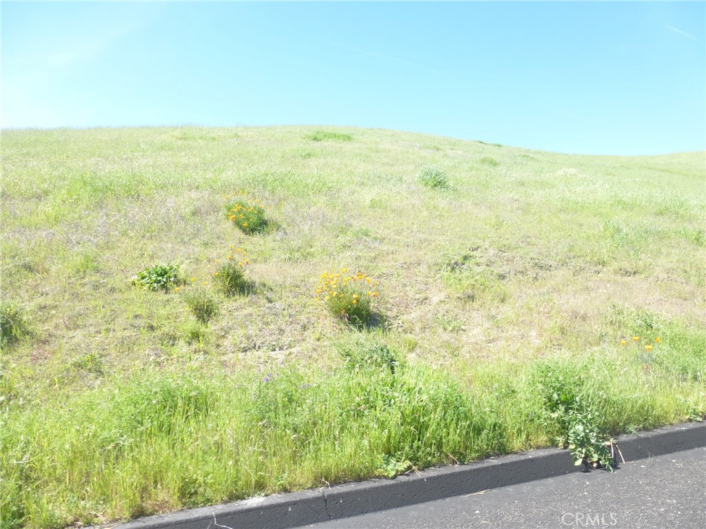 Property photo 21