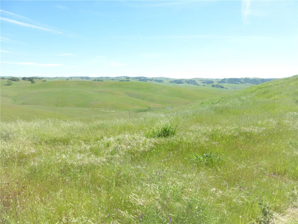 Property photo 48
