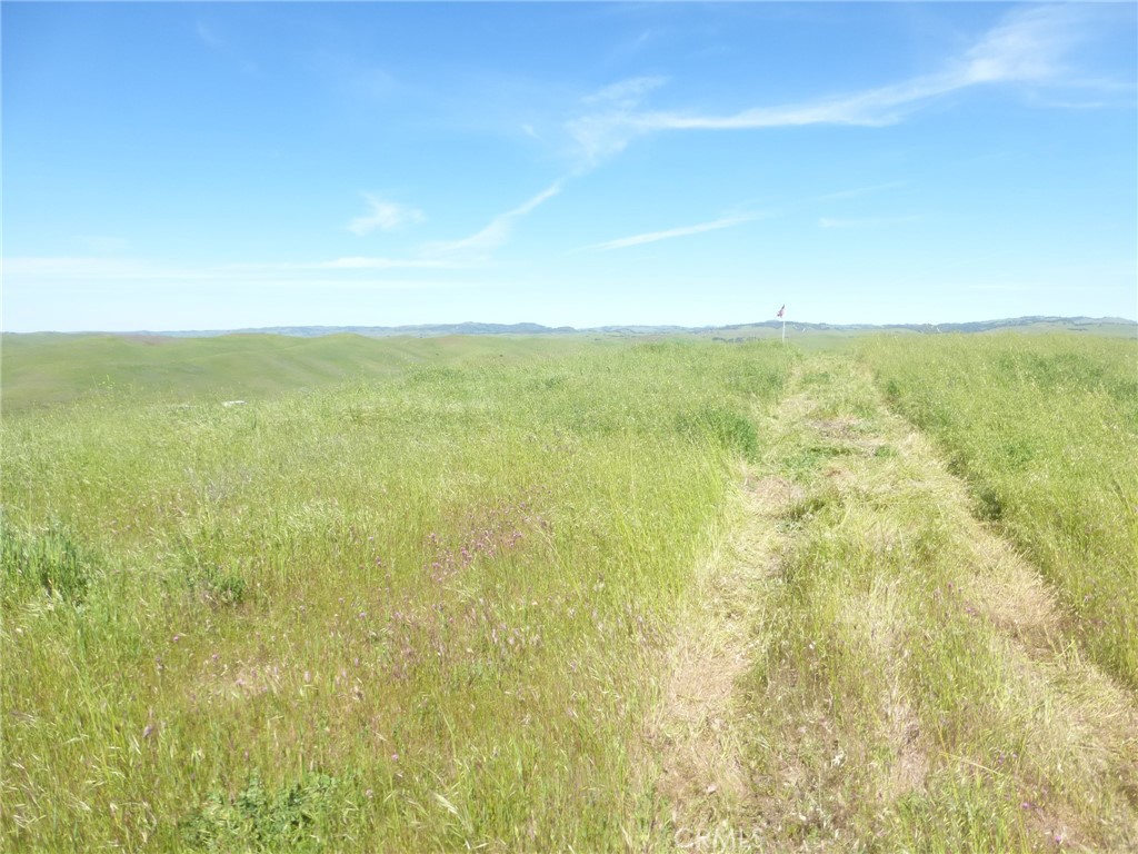 Property photo 49