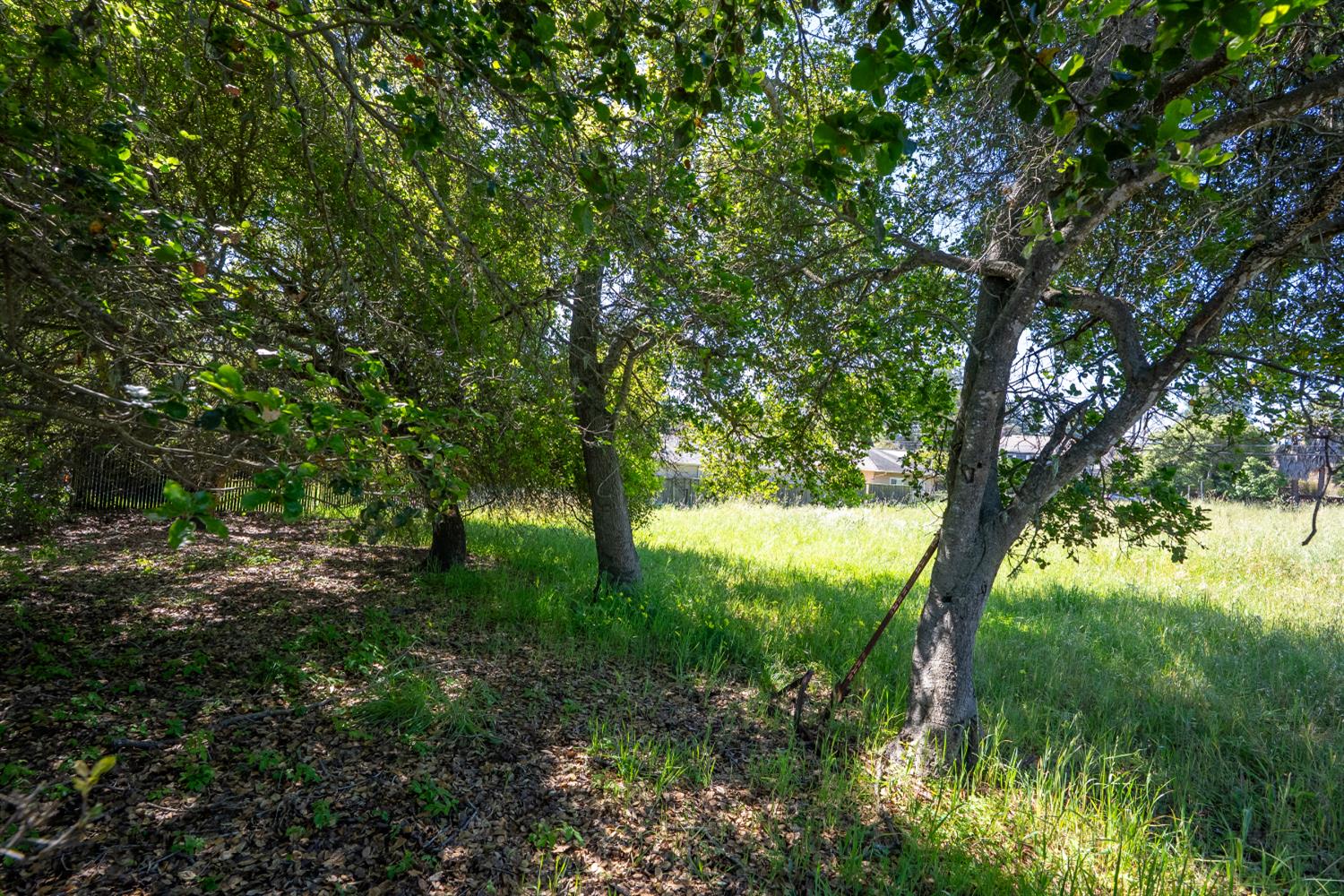 Property photo 28