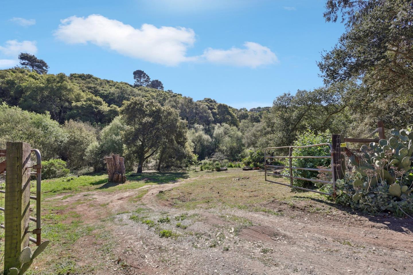 Property photo 47