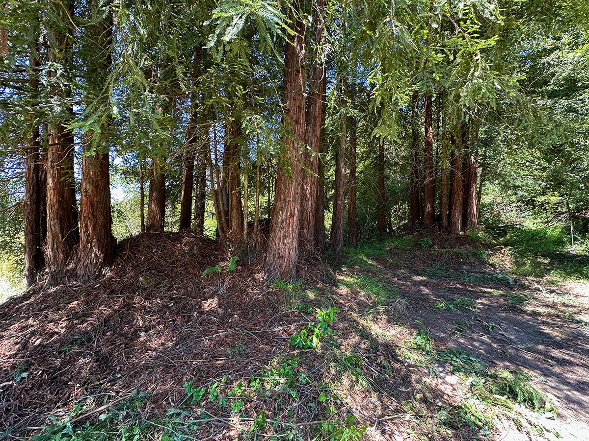 Property photo 20