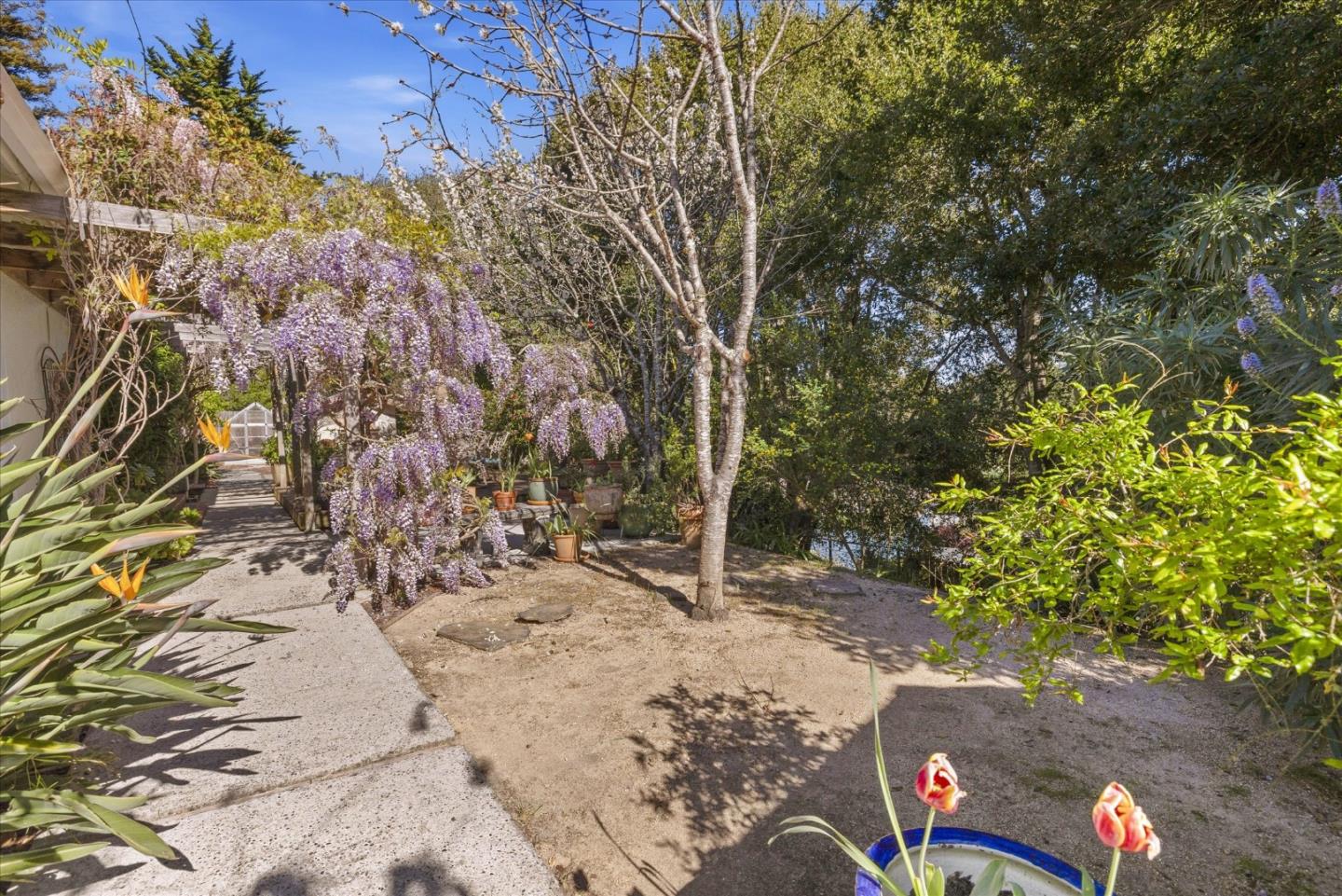 Property photo 29