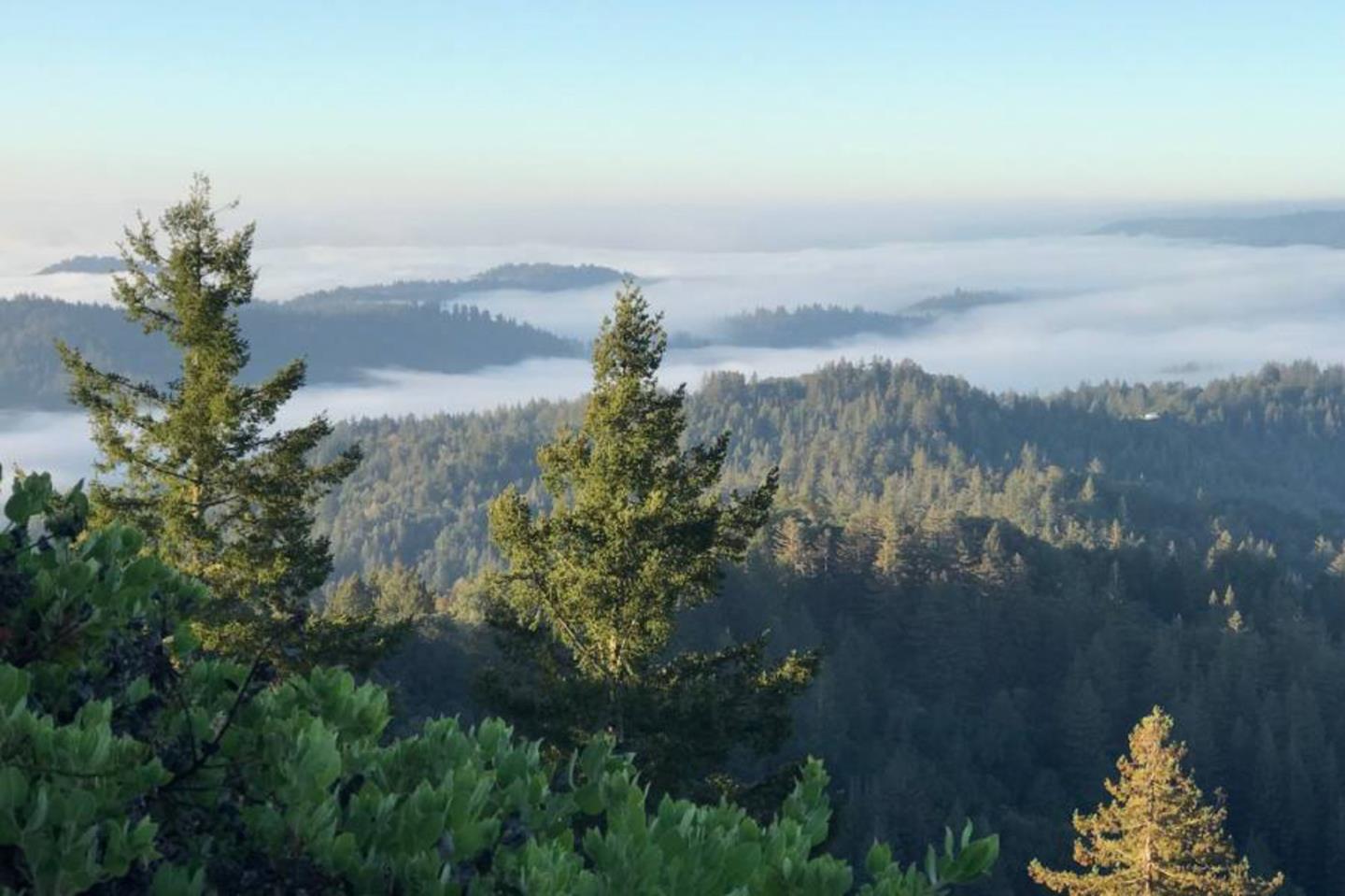 lot 58 Skyview Ridge Rd