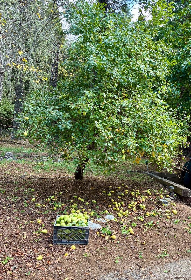 Property photo 46