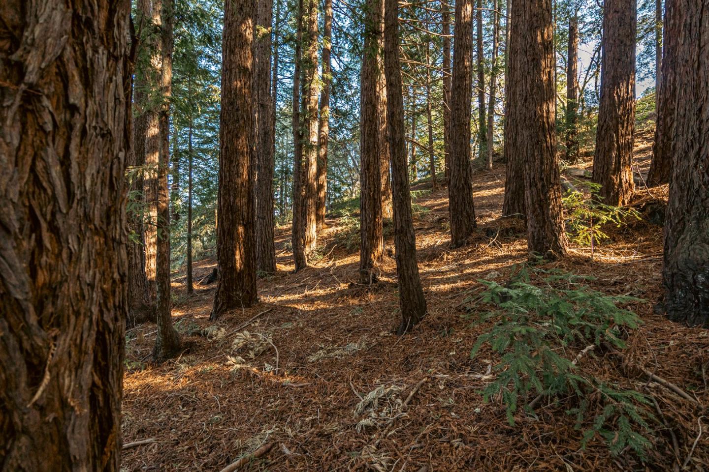 Property photo 45