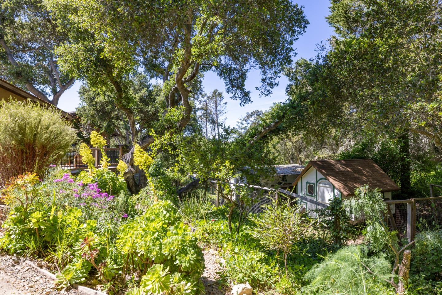 Property photo 34
