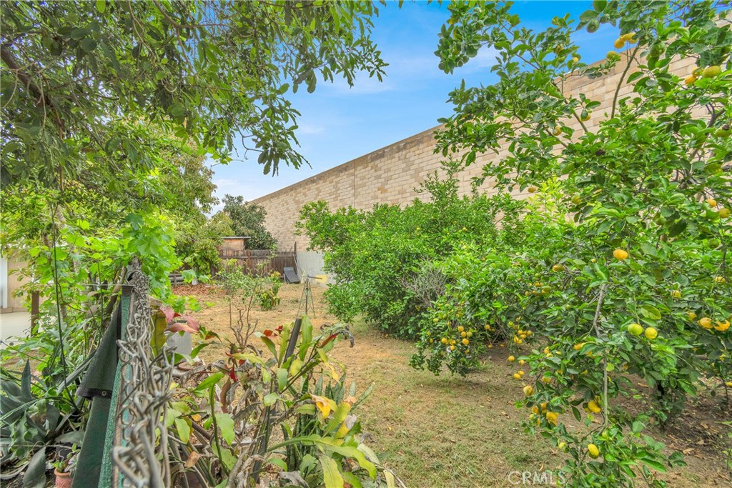 Property photo 42