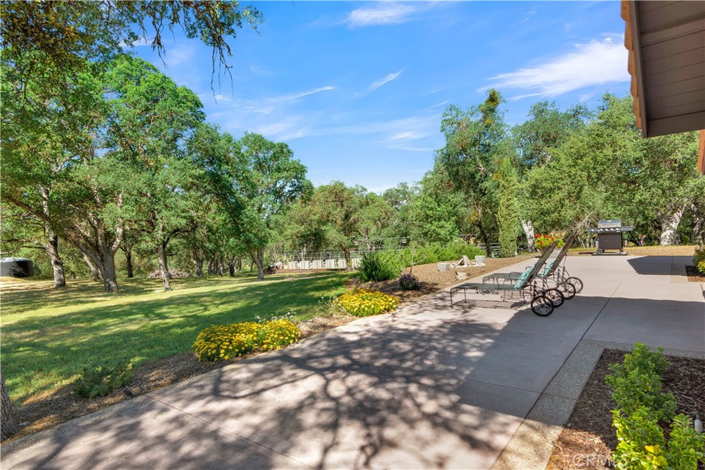 Property photo 42