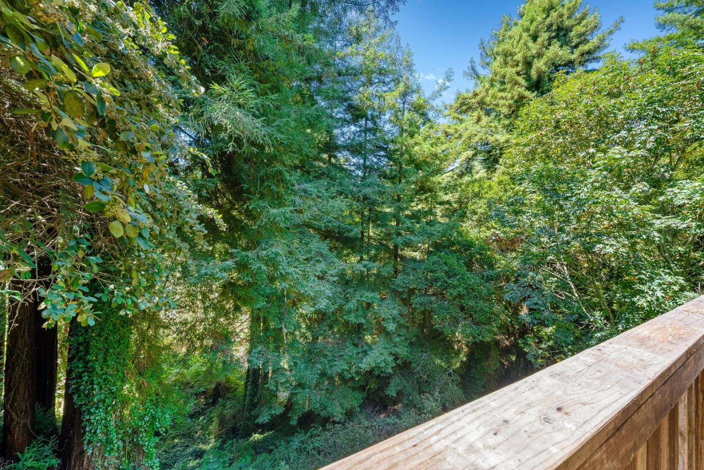 Property photo 37