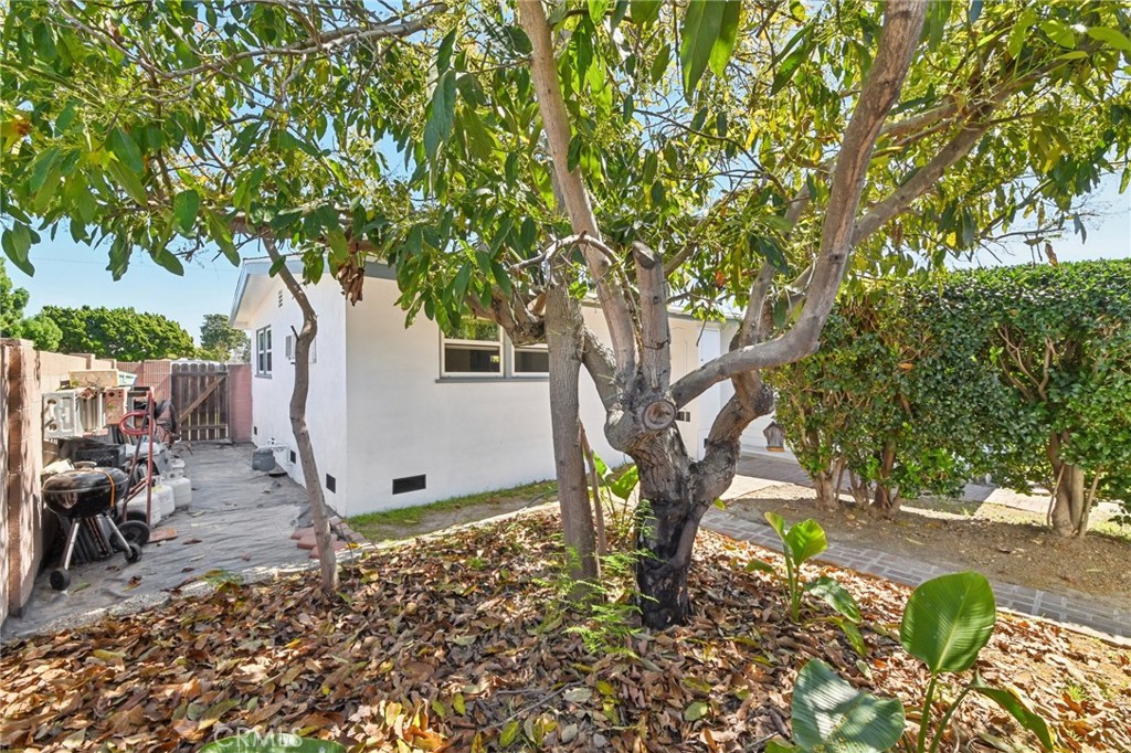 Property photo 41