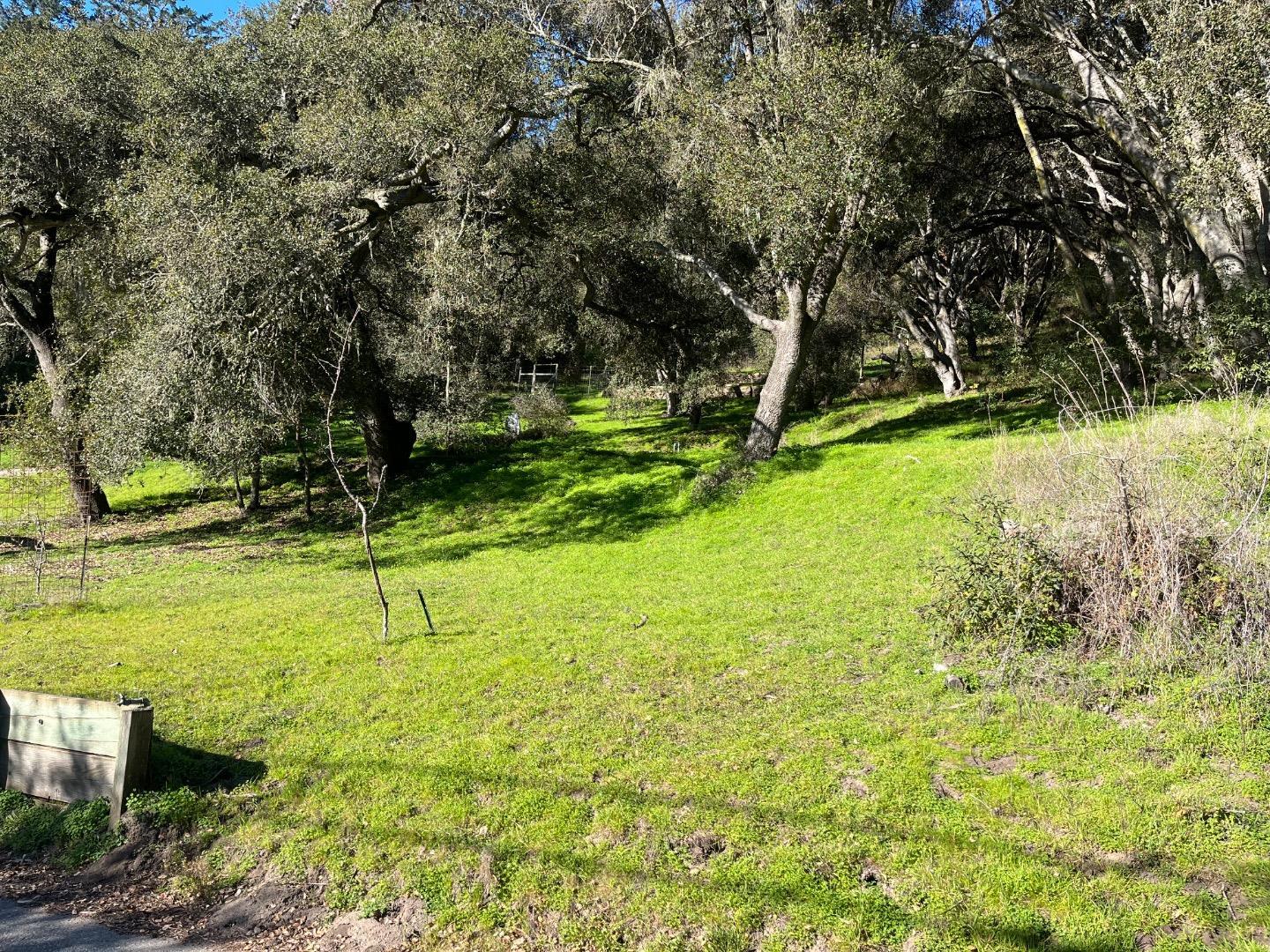 Property photo 21