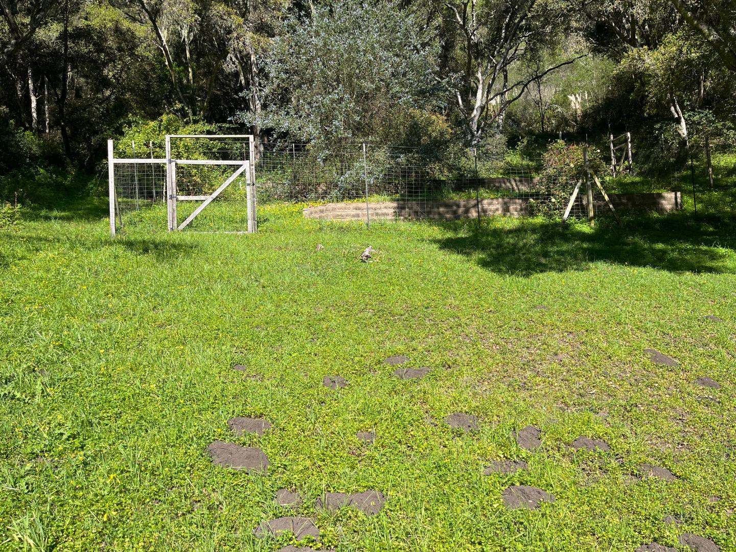 Property photo 23