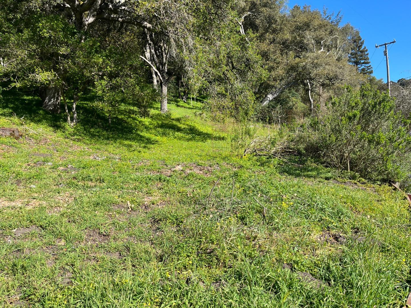 Property photo 31