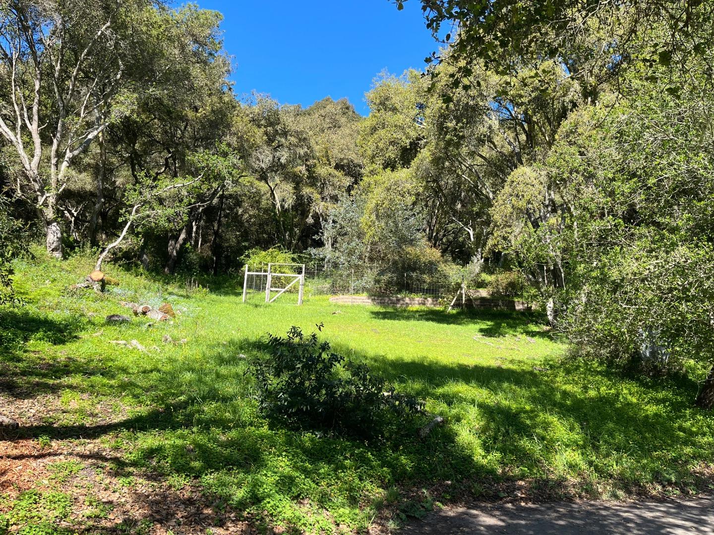 Property photo 35