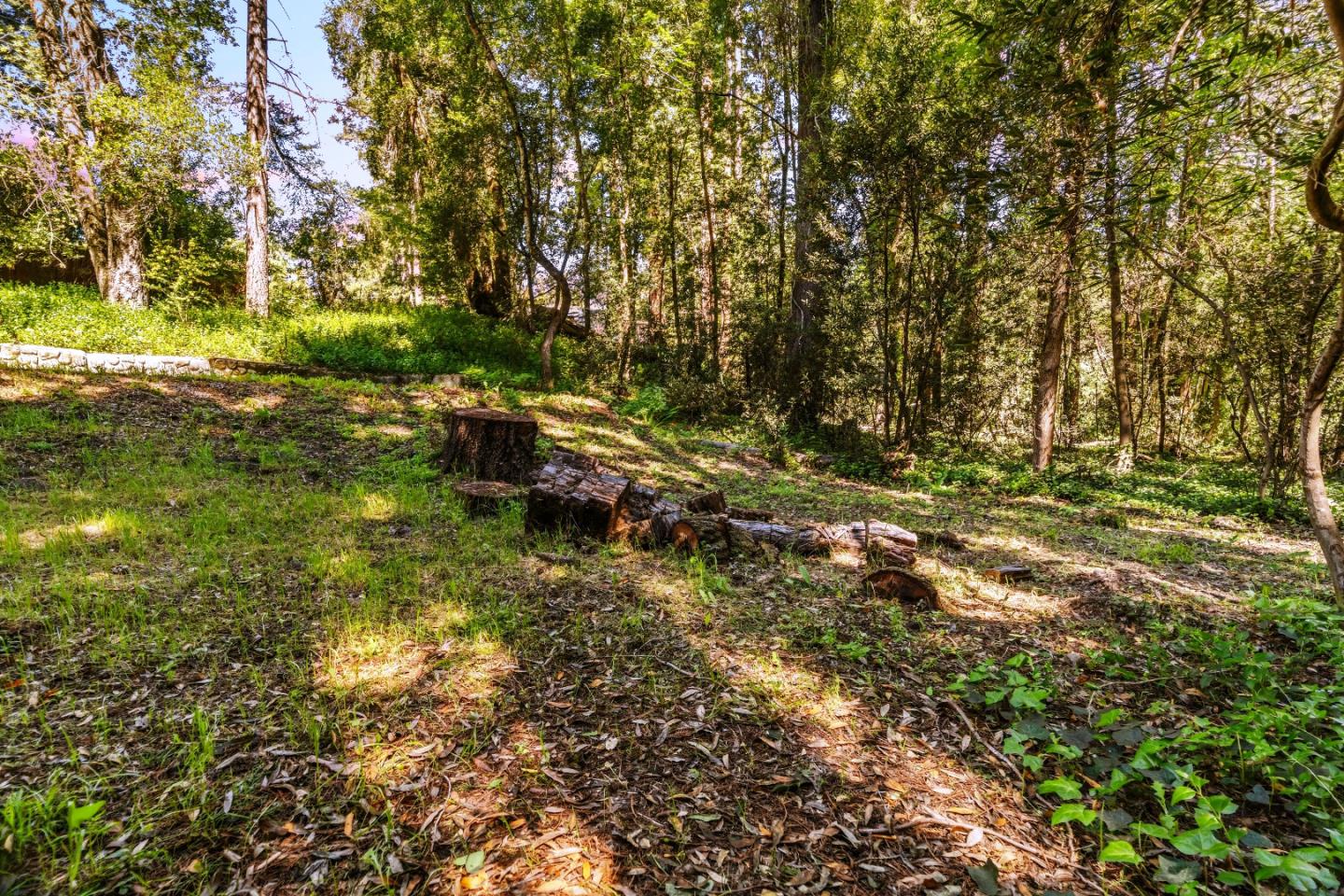 Property photo 37