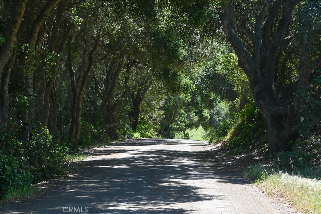 4144 Harmony Valley Rd