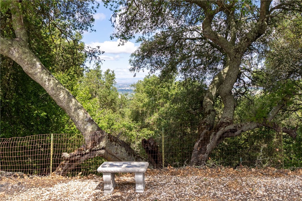 Property photo 49