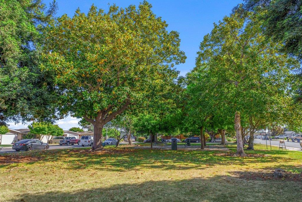 Property photo 37