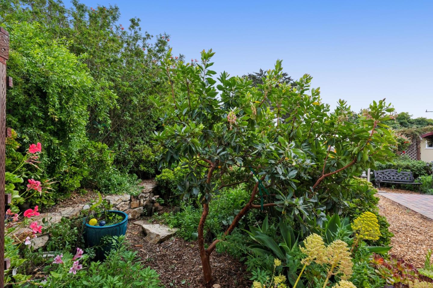 Property photo 42