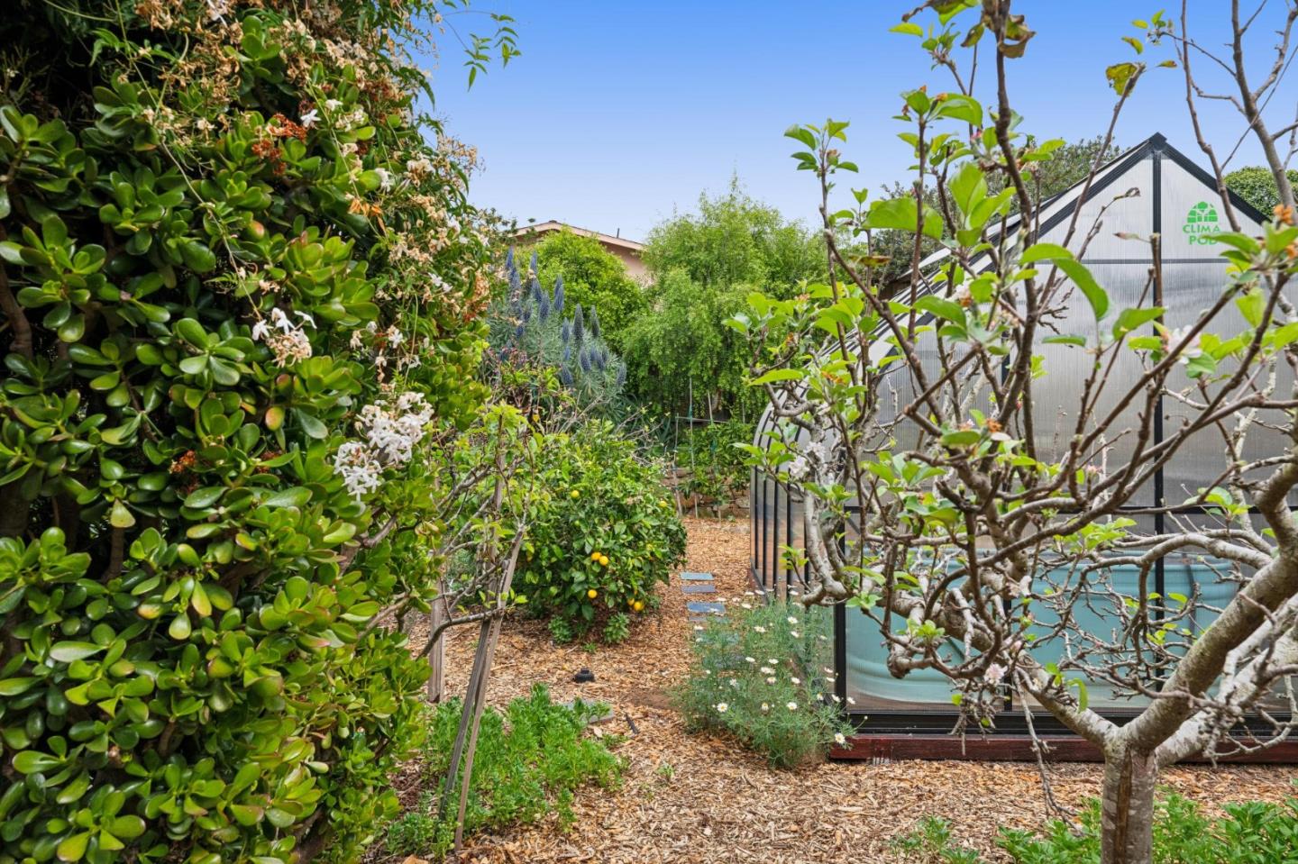 Property photo 44
