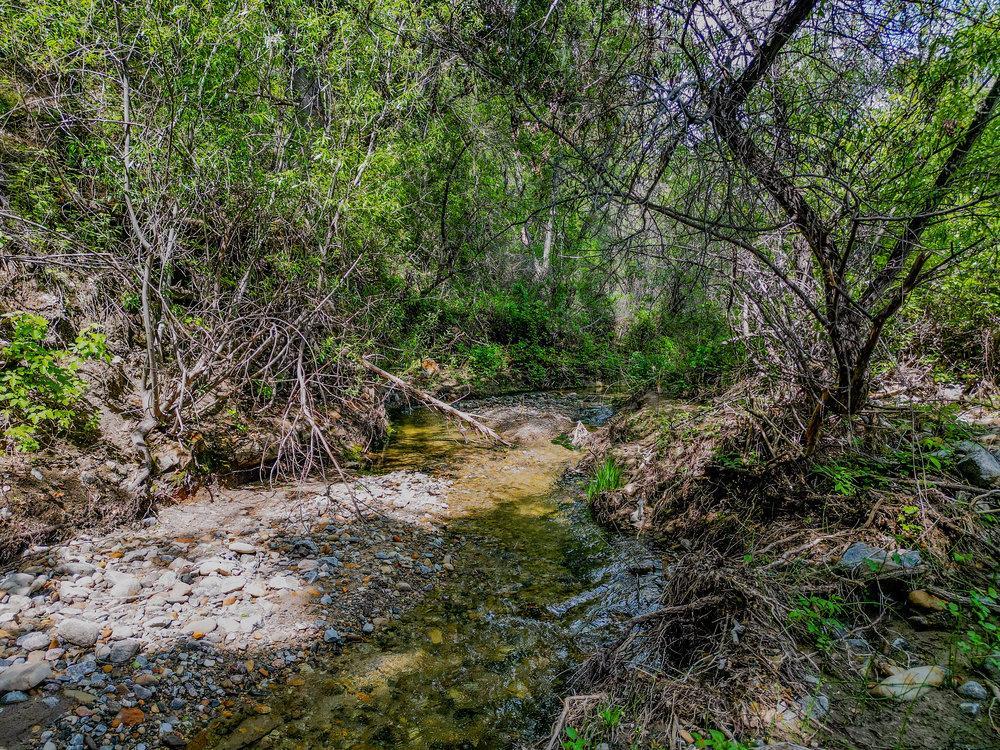 43575 E Carmel Valley Rd