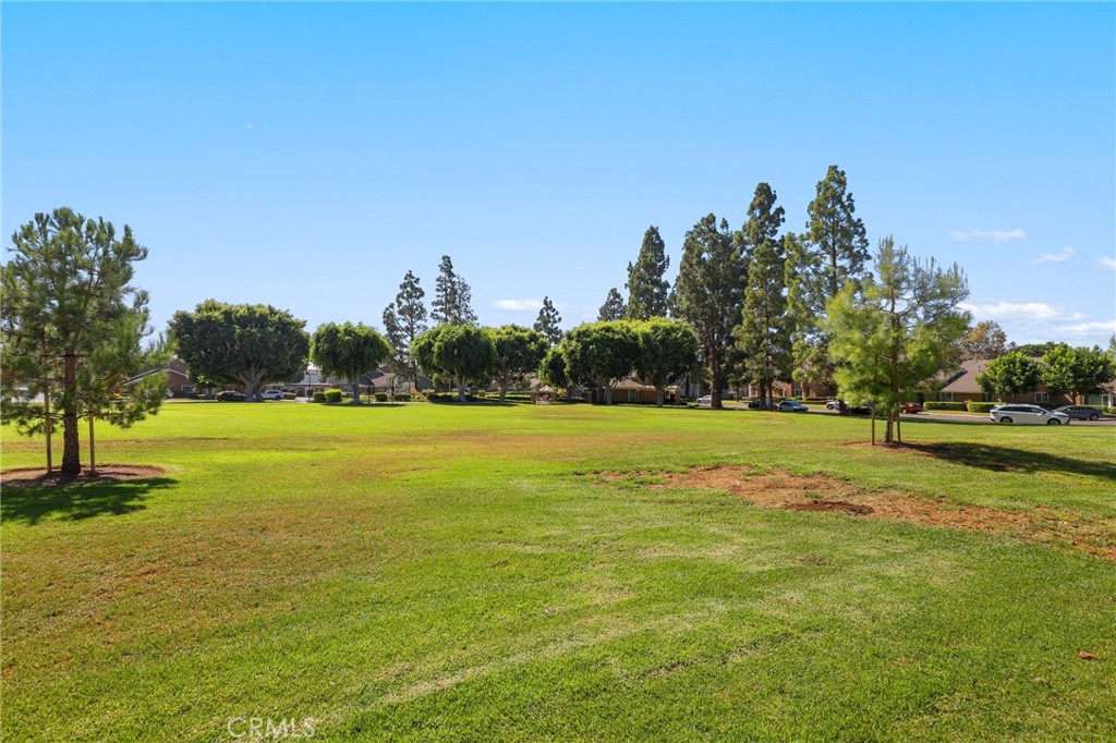 Property photo 47