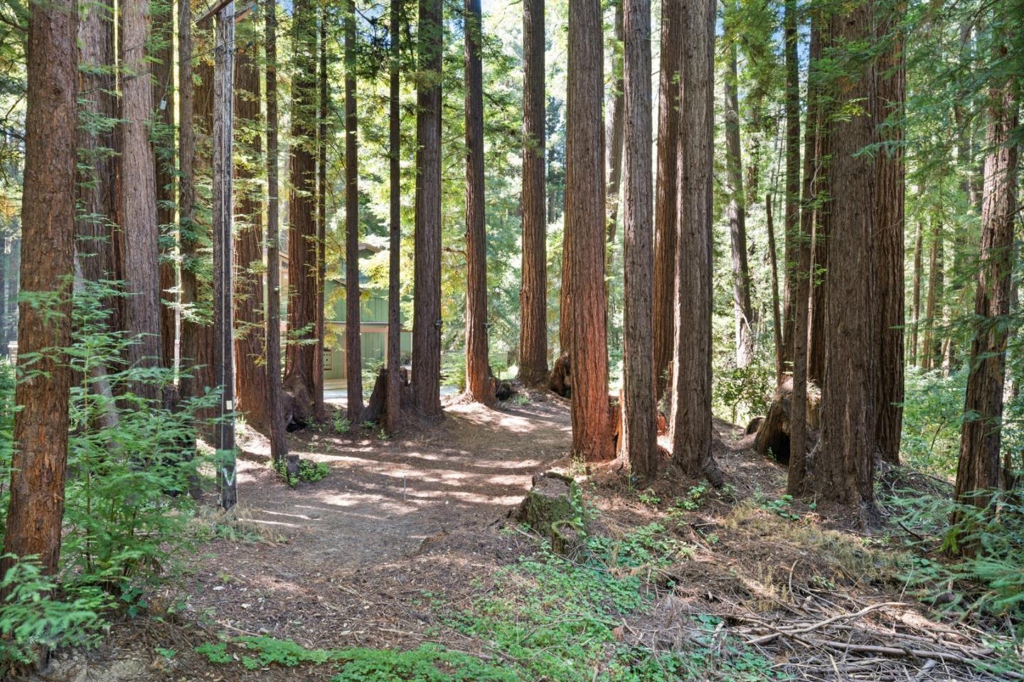 Property photo 23