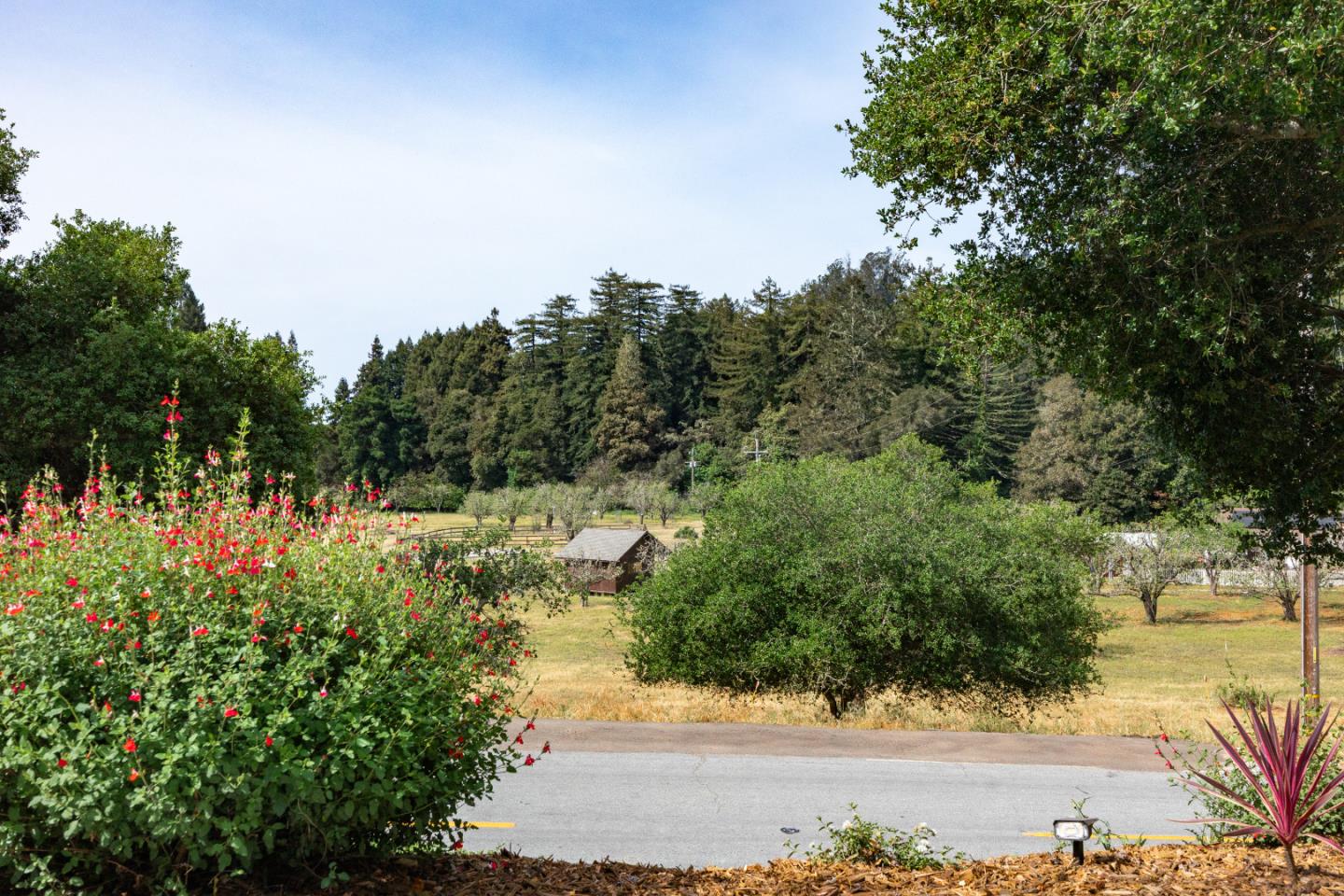 Property photo 51