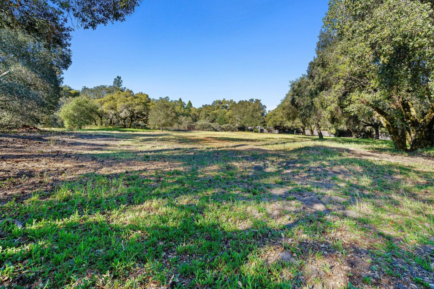 Property photo 43