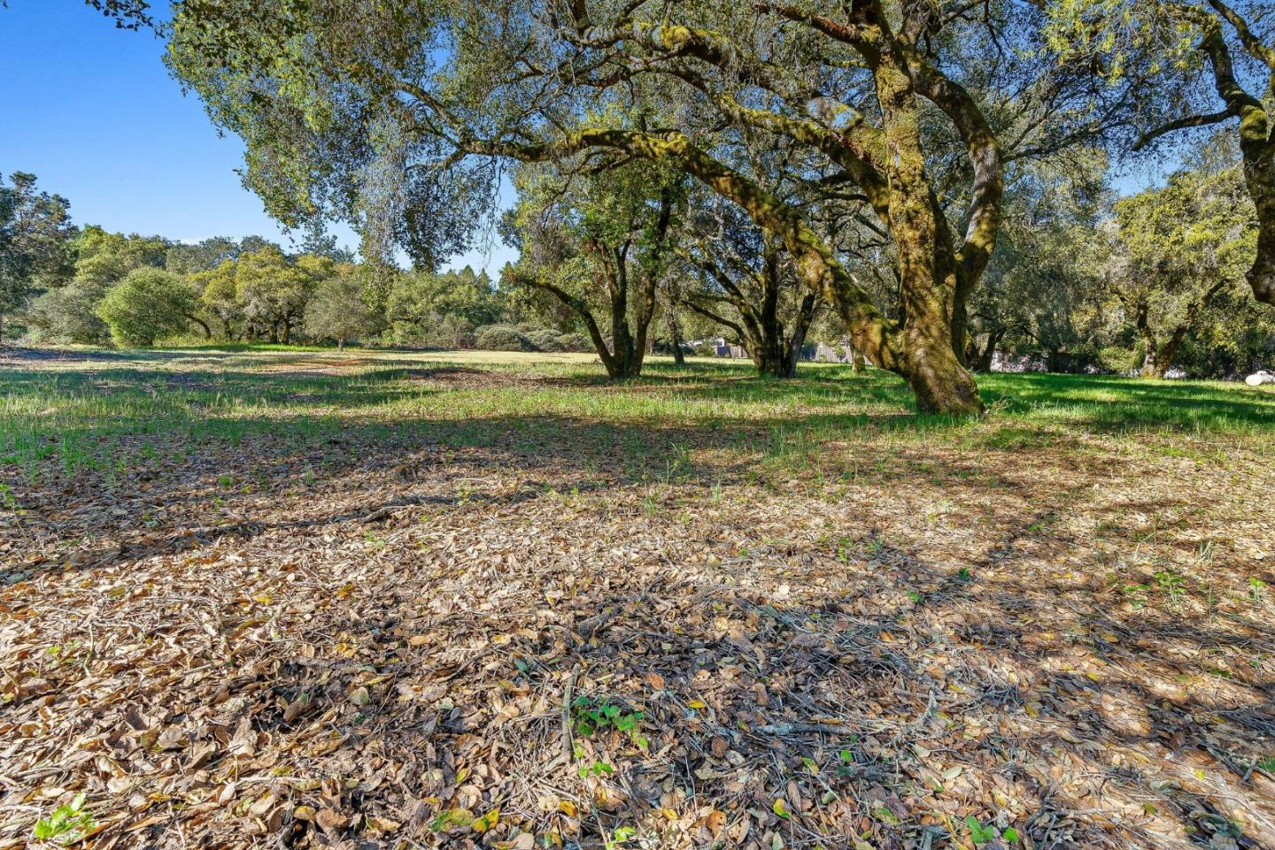 Property photo 44