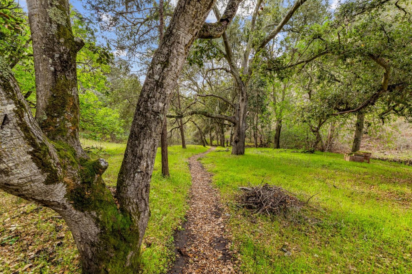 Property photo 37