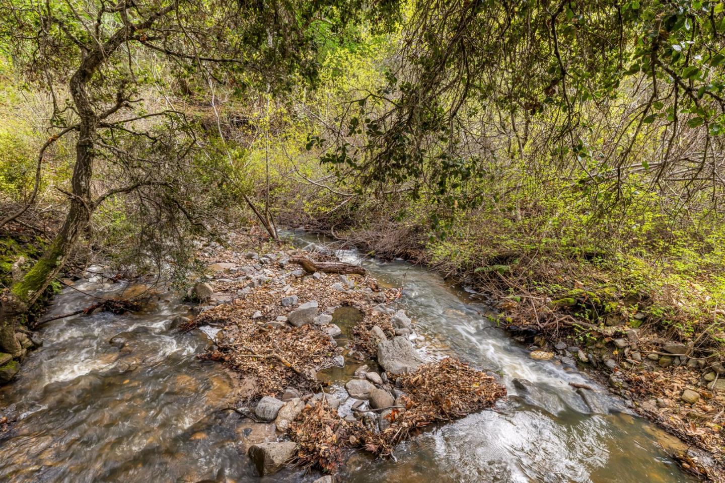 Property photo 40