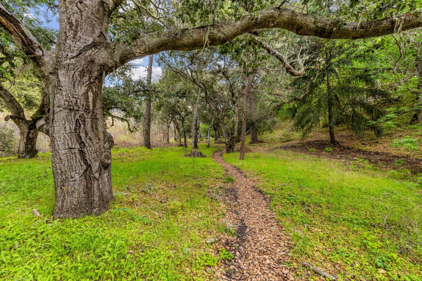 Property photo 42