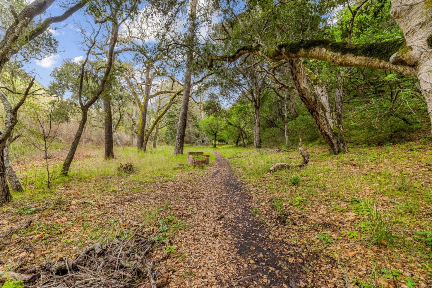 Property photo 43