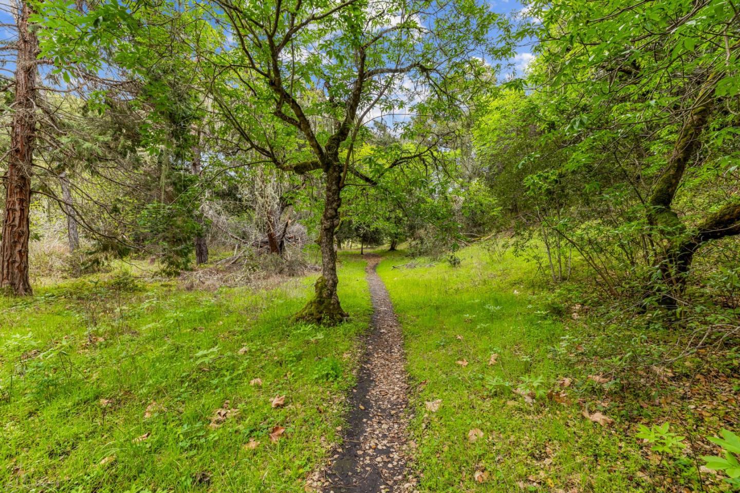 Property photo 44
