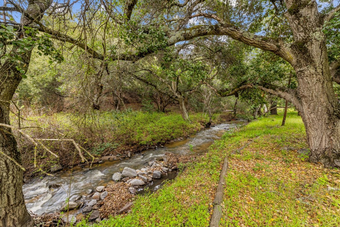 Property photo 45