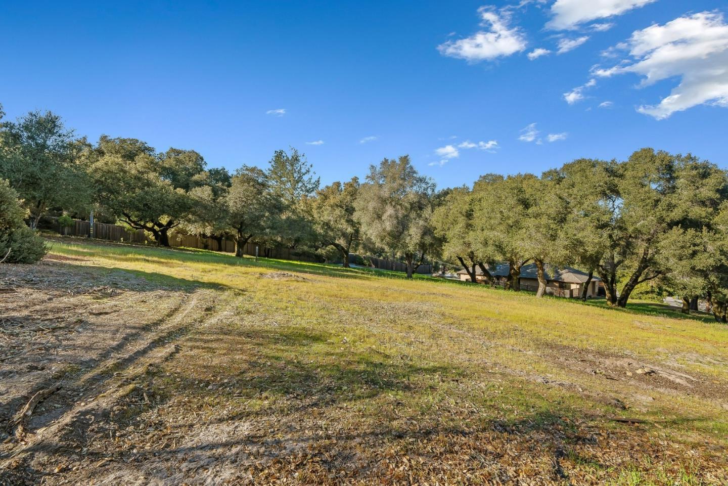 Property photo 41