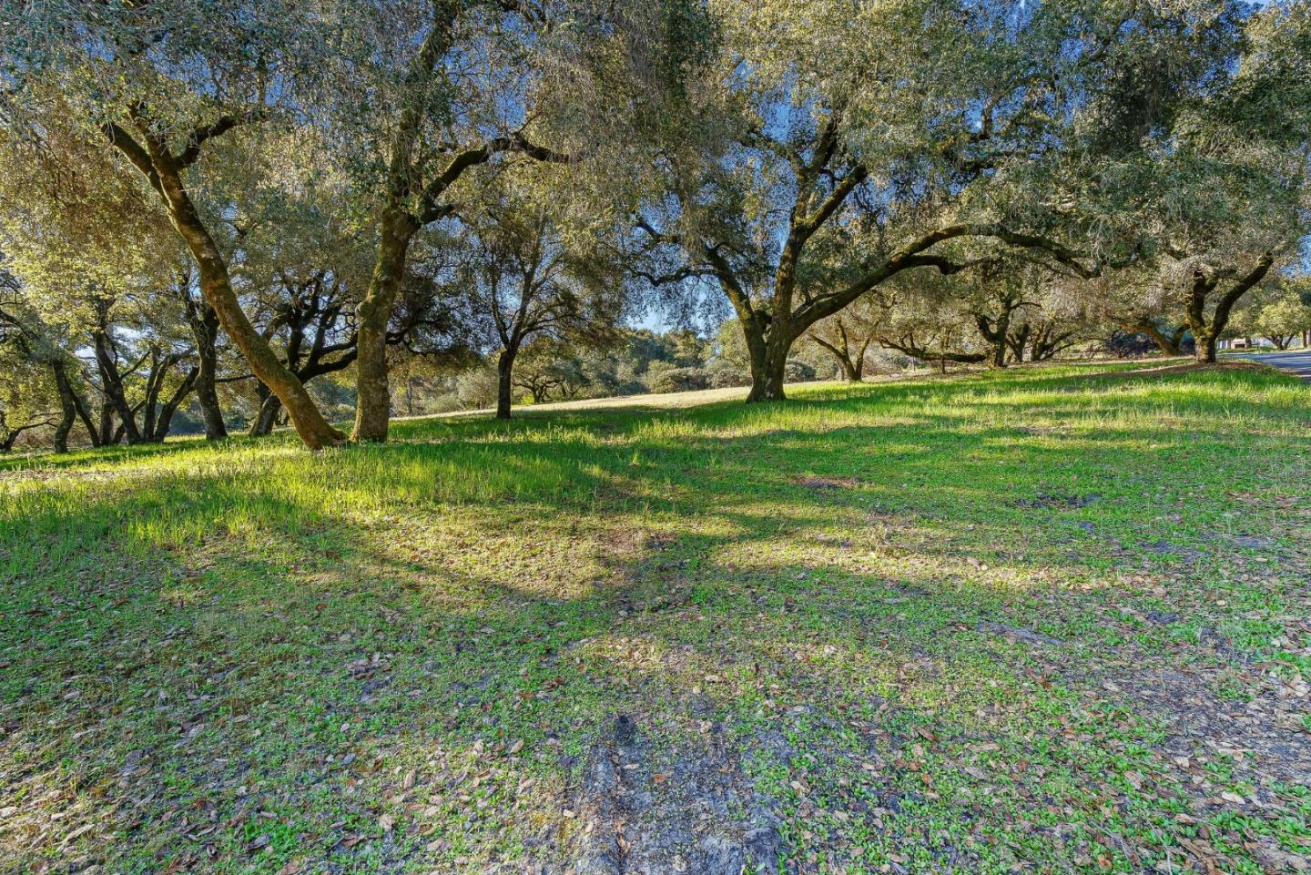 Property photo 42