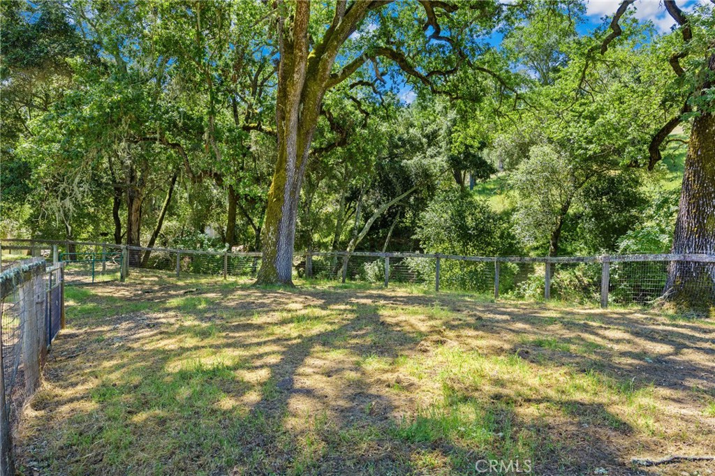 Property photo 46