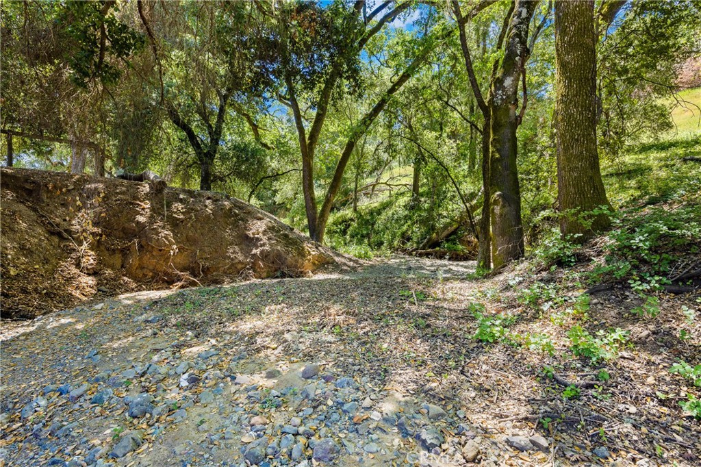 Property photo 49
