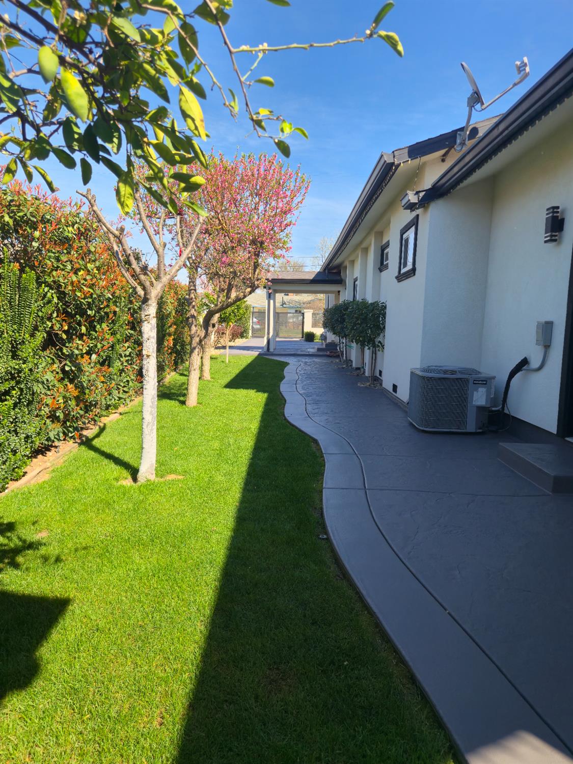 Property photo 42