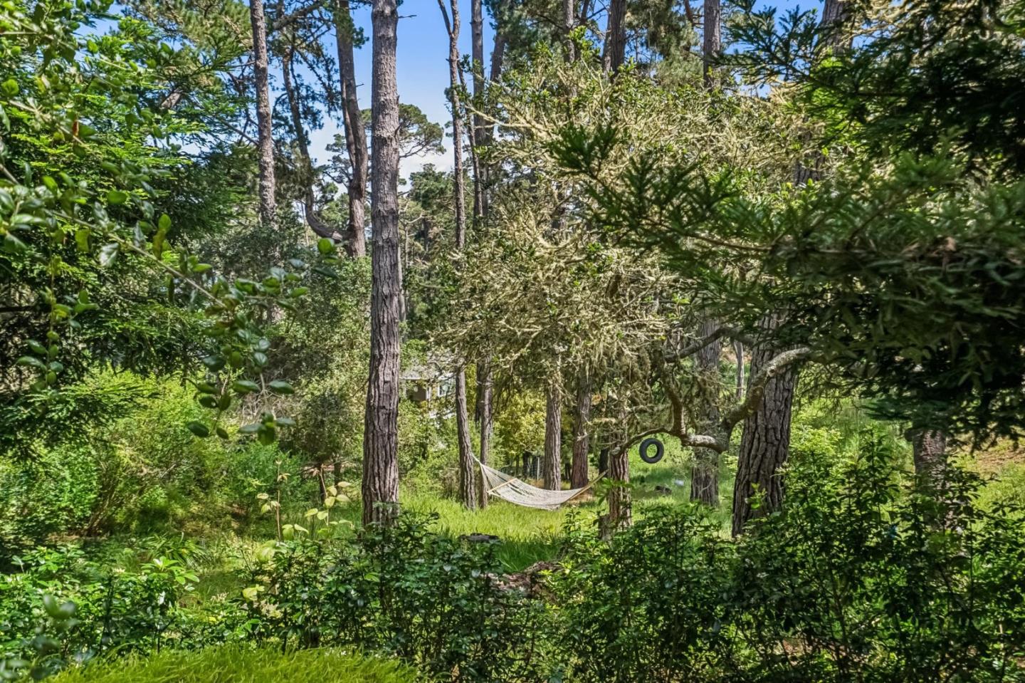 Property photo 32