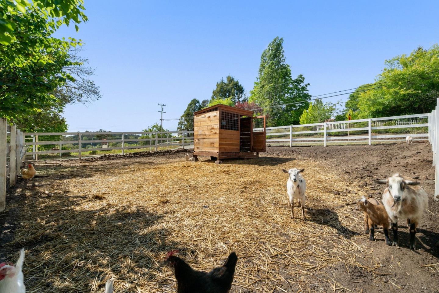 Property photo 43