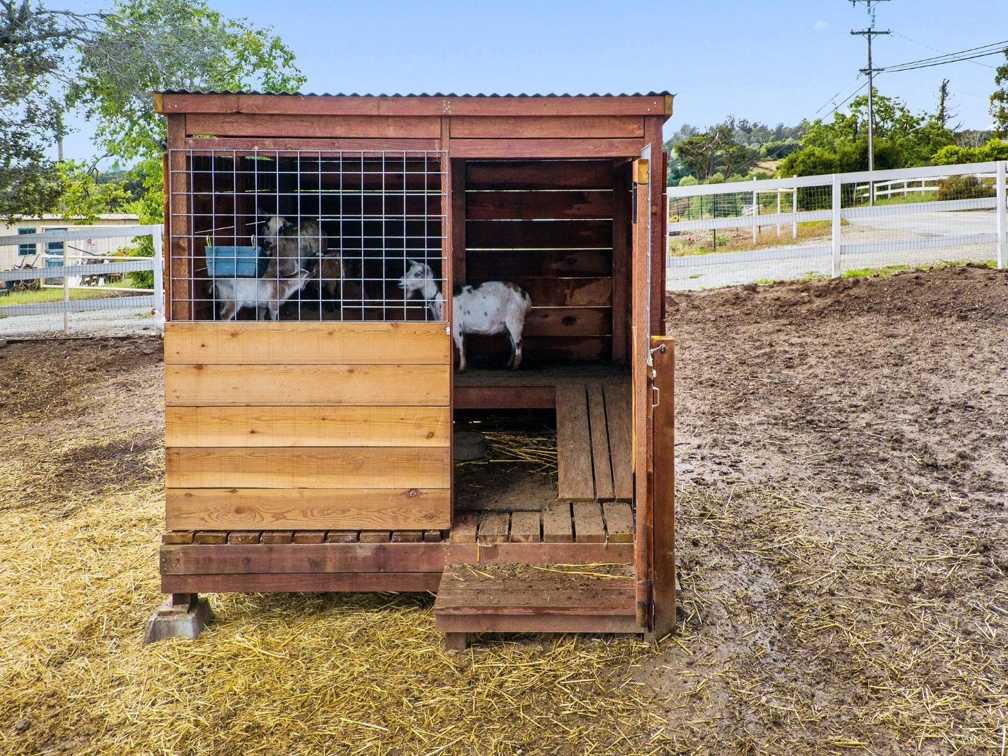 Property photo 44
